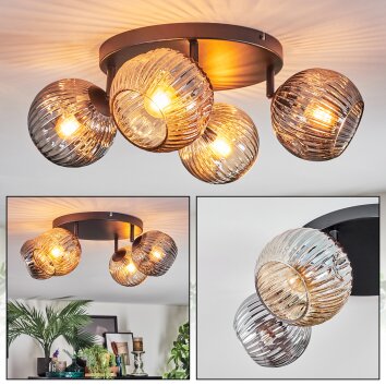 Ripoll Plafondlamp, Kogellampje Amber, Rookkleurig, 4-lichts