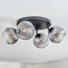 Ripoll Plafondlamp, Kogellampje Duidelijk, Rookkleurig, 4-lichts