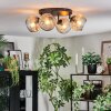 Ripoll Plafondlamp, Kogellampje Amber, Duidelijk, 4-lichts