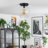 Ripoll Plafondlamp, Kogellampje Duidelijk, 1-licht