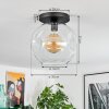Ripoll Plafondlamp, Kogellampje Duidelijk, 1-licht