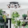 Gastor Plafondlamp, Kogellampje Duidelijk, Rookkleurig, 4-lichts