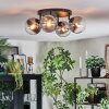 Gastor Plafondlamp, Kogellampje Duidelijk, Rookkleurig, 4-lichts