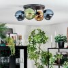 Koyoto Plafondlamp, Kogellampje Blauw, Goud, Groen, 4-lichts