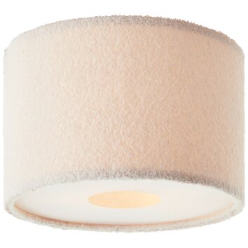 Briljante lampen Teddy Plafondlamp Wit, 2-lichts