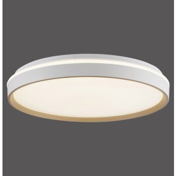 Paul Neuhaus Verlichting MIO Plafondlamp LED Zandkleurig, 1-licht, Afstandsbediening