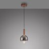 Paul Neuhaus Verlichting BOWL Hanglamp LED Bruin, 1-licht