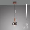 Paul Neuhaus Verlichting BOWL Hanglamp LED Bruin, 1-licht