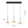 Paul Neuhaus Verlichting ELIPSA Hanglamp LED Zwart, 3-lichts