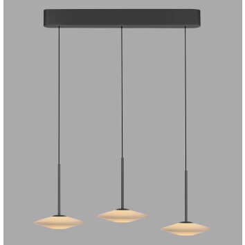 Paul Neuhaus Verlichting ELIPSA Hanglamp LED Zwart, 3-lichts