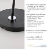 Paul Neuhaus Verlichting BENTE Staande lamp LED Zwart, 1-licht
