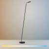 Paul Neuhaus Verlichting BENTE Staande lamp LED Zwart, 1-licht