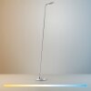 Paul Neuhaus Verlichting BENTE Staande lamp LED Zilver, 1-licht