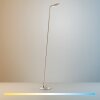 Paul Neuhaus Verlichting BENTE Staande lamp LED Messing, 1-licht