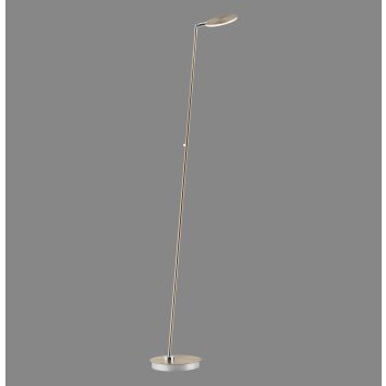 Paul Neuhaus Verlichting BENTE Staande lamp LED Messing, 1-licht