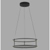 Paul Neuhaus Verlichting CONTURA Hanglamp LED Zwart, 2-lichts