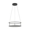 Paul Neuhaus Verlichting CONTURA Hanglamp LED Zwart, 2-lichts