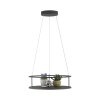 Paul Neuhaus Verlichting CONTURA Hanglamp LED Zwart, 2-lichts
