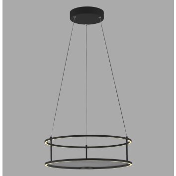 Paul Neuhaus Verlichting CONTURA Hanglamp LED Zwart, 2-lichts