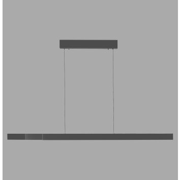 Paul Neuhaus Verlichting Square Hanglamp LED Antraciet, 6-lichts