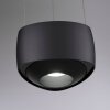 Paul Neuhaus Q-Serie Q-STRETTO Hanglamp LED Zwart, 2-lichts, Afstandsbediening