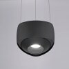 Paul Neuhaus Q-Serie Q-STRETTO Hanglamp LED Zwart, 2-lichts, Afstandsbediening