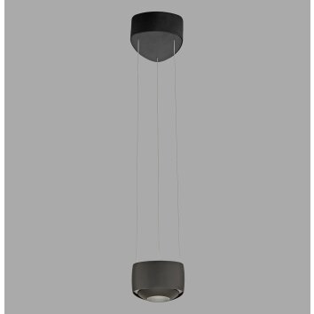 Paul Neuhaus Q-Serie Q-STRETTO Hanglamp LED Zwart, 2-lichts, Afstandsbediening