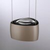 Paul Neuhaus Q-Serie Q-STRETTO Hanglamp LED Brons, 2-lichts, Afstandsbediening
