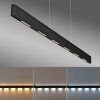 Paul Neuhaus Q-Serie Q-STRETTO Hanglamp LED Zwart, 2-lichts, Afstandsbediening