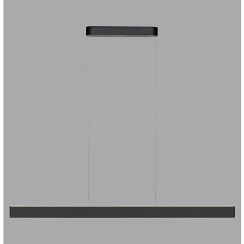 Paul Neuhaus Q-Serie Q-STRETTO Hanglamp LED Zwart, 2-lichts, Afstandsbediening