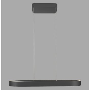 Paul Neuhaus Q-Serie Q-STRETTO Hanglamp LED Zwart, 2-lichts, Afstandsbediening