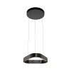 Paul Neuhaus Q-Serie Q-STRETTO Hanglamp LED Zwart, 2-lichts, Afstandsbediening