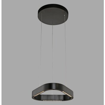 Paul Neuhaus Q-Serie Q-STRETTO Hanglamp LED Zwart, 2-lichts, Afstandsbediening