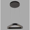 Paul Neuhaus Q-Serie Q-STRETTO Hanglamp LED Zwart, 2-lichts, Afstandsbediening