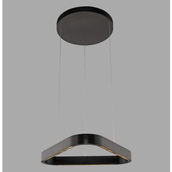 Paul Neuhaus Q-Serie Q-STRETTO Hanglamp LED Zwart, 2-lichts, Afstandsbediening