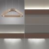 Paul Neuhaus Q-Serie Q-STRETTO Hanglamp LED Brons, 2-lichts, Afstandsbediening
