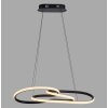 Paul Neuhaus Verlichting TWIST Hanglamp LED Zwart, 1-licht