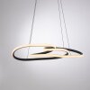 Paul Neuhaus Verlichting TWIST Hanglamp LED Zwart, 1-licht