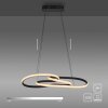 Paul Neuhaus Verlichting TWIST Hanglamp LED Zwart, 1-licht