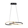 Paul Neuhaus Verlichting TWIST Hanglamp LED Zwart, 1-licht