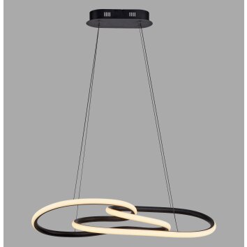 Paul Neuhaus Verlichting TWIST Hanglamp LED Zwart, 1-licht