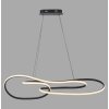 Paul Neuhaus Verlichting TWIST Hanglamp LED Zwart, 1-licht