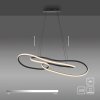 Paul Neuhaus Verlichting TWIST Hanglamp LED Zwart, 1-licht