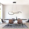 Paul Neuhaus Verlichting TWIST Hanglamp LED Zwart, 1-licht