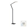 Paul Neuhaus Verlichting SAMSKY Staande lamp LED Grijs, 1-licht