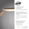 Paul Neuhaus Verlichting SAMSKY Staande lamp LED Brons, 1-licht