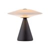Paul Neuhaus Verlichting ELIPSA Tafellamp LED Zwart, 1-licht
