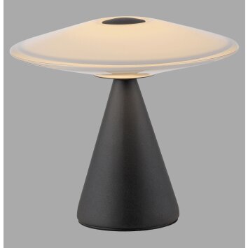 Paul Neuhaus Verlichting ELIPSA Tafellamp LED Zwart, 1-licht