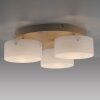 Paul Neuhaus Verlichting MARIKA Plafondlamp LED Zandkleurig, 3-lichts