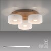 Paul Neuhaus Verlichting MARIKA Plafondlamp LED Zandkleurig, 3-lichts